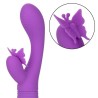 papillon kiss flutter violet