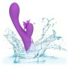 papillon kiss flutter violet