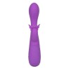 papillon kiss flutter violet
