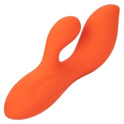 stella dual teaser orange
