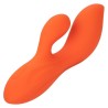 stella dual teaser orange