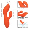 stella dual teaser orange