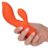 stella dual teaser orange
