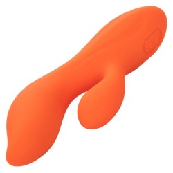 stella dual teaser orange