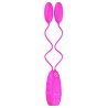 bnear pastel classique