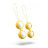 bfit classique dorado
