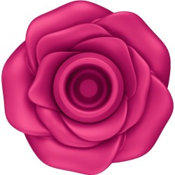 air pulse vibrateur fleur classique pro 2