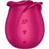 air pulse vibrateur fleur classique pro 2