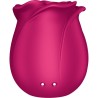 air pulse vibrateur fleur classique pro 2