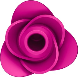air pulse vibrateur fleur moderne pro 2