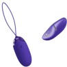 berger youth oeuf vibrant télécommandé violet