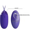 berger youth oeuf vibrant télécommandé violet