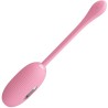 oeuf vibrant rechargeable rose doreen