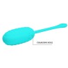 kirk oeuf vibrant rechargeable vert clair