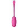 oeuf vibrant rechargeable catalina rose