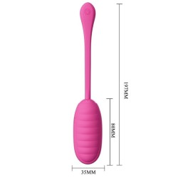 oeuf vibrant rechargeable catalina rose