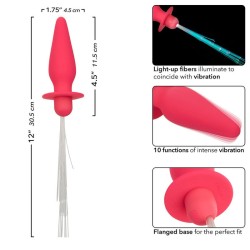 southern lights light up plug anal 10 vibrations silicone rose