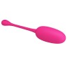 oeuf vibrant rechargeable knucker rose