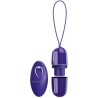 arvin youth violant loeuf télécommande violet