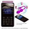 balles vibrantes rechargeables elvira violet