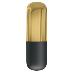 vibrateur bullet rechargeable dor?