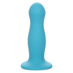wave rider plug anal bleu