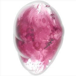 cloud dancer vibrateur rouge air pulse