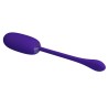 oeuf vibrant julius imperméable-rechargeable violet
