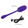 oeuf vibrant julius imperméable-rechargeable violet