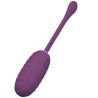 oeuf vibrant rechargeable casper violet