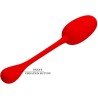 oeuf vibrant rechargeable knucker rouge