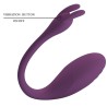 télécommande catalina vibrator app violet