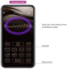 télécommande catalina vibrator app violet