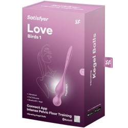 balles vibrantes de kegel love birds rose