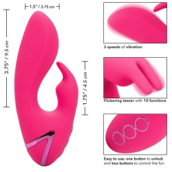 donc. vibrateur cal sunshine rabbit fuchsia par california dreaming