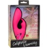 donc. vibrateur cal sunshine rabbit fuchsia par california dreaming