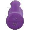 bcute classic lilas