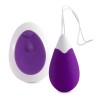 oeuf vibrant télécommande jan lilas