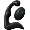 télécommande p-spot pro