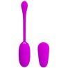 shock fun vibrant oeuf et electroshock
