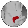 protège-bite viper silicone fusion