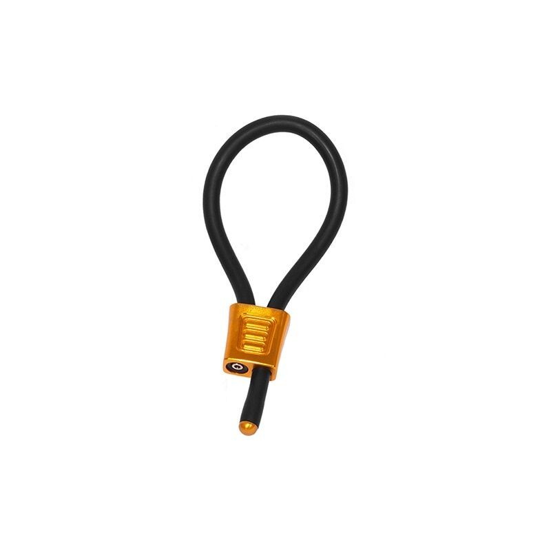 electraloops prestige or electraloops prestige or