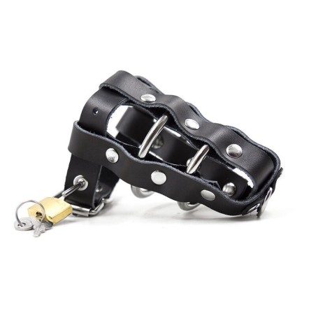 etui en cuir avec anneaux métalliques et cadenas