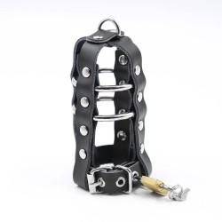 etui en cuir avec anneaux métalliques et cadenas