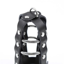 etui en cuir avec anneaux métalliques et cadenas