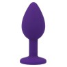 shelki s plug anal lilas