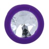 shelki s plug anal lilas