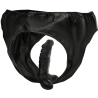 culotte avec plug et gode interchangeable
