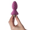assberries framboise plug anal
