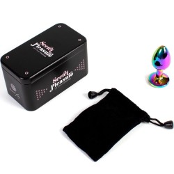 plug anal en métal arc-en-ciel petite taille 7 cm